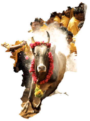 Alanganallur Karupatti Coffee Franchise in TamilNadu